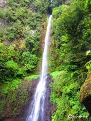 Middleham Falls Dominica