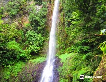 Middleham Falls Dominica