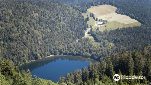 Feldberg