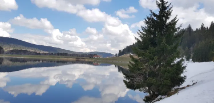 ラ・ブレヴィーヌ