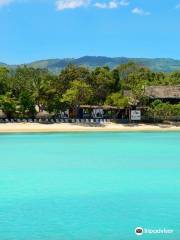 Paradise Island & The Mangroves (Cayo Arena)