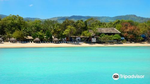 Paradise Island & The Mangroves (Cayo Arena)