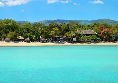 Paradise Island & The Mangroves (Cayo Arena)