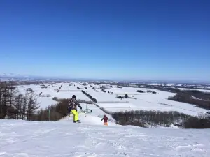 めむろ新嵐山スカイパーク メムロスキー場