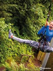 Go Ape Zipline & Adventure Park