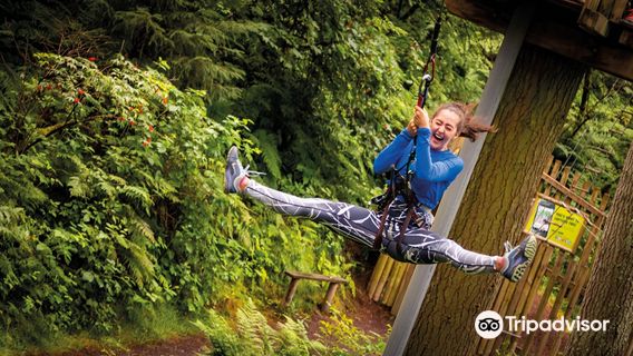 Go Ape Zipline and Adventure Park