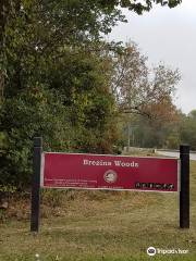 Brezina Woods Park and Preserve