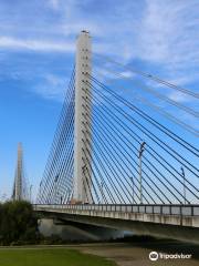 Tokachio Bridge