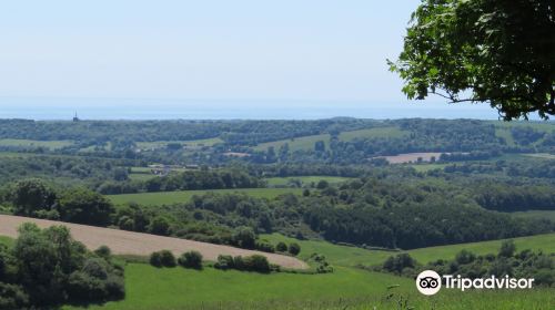 Chanctonbury Ring