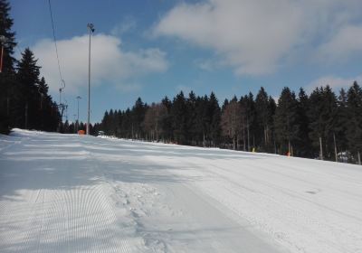 Thüringen Alpin GmbH Ski- und Bikearena Silbersattel Steinach