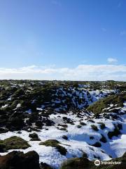 Scenic Green Lava Walk