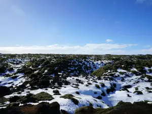 Scenic Green Lava Walk