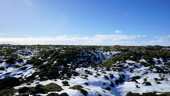 Scenic Green Lava Walk