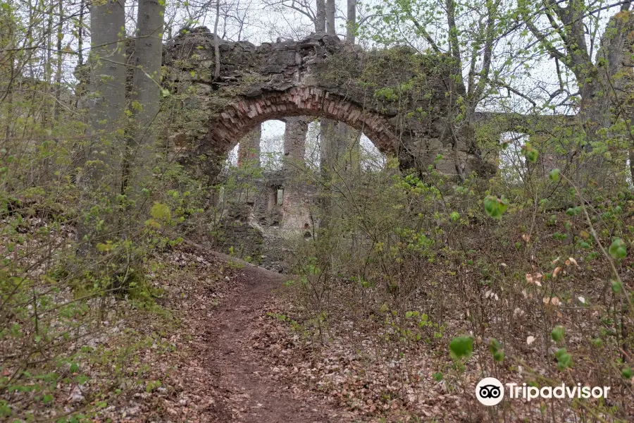 Castle Ruins Hochhaus