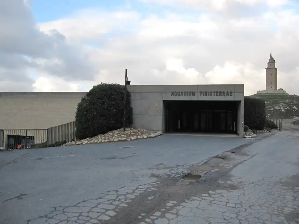 2_Aquarium Finisterrae