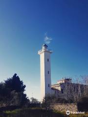 Faro Capo Suvero