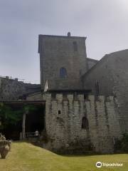 Castello di Castel San Niccolo