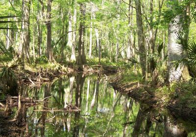 Jay B. Starkey Wilderness Park