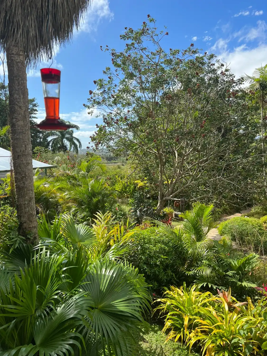 Hotels near Orchid World & Tropical Flower Garden