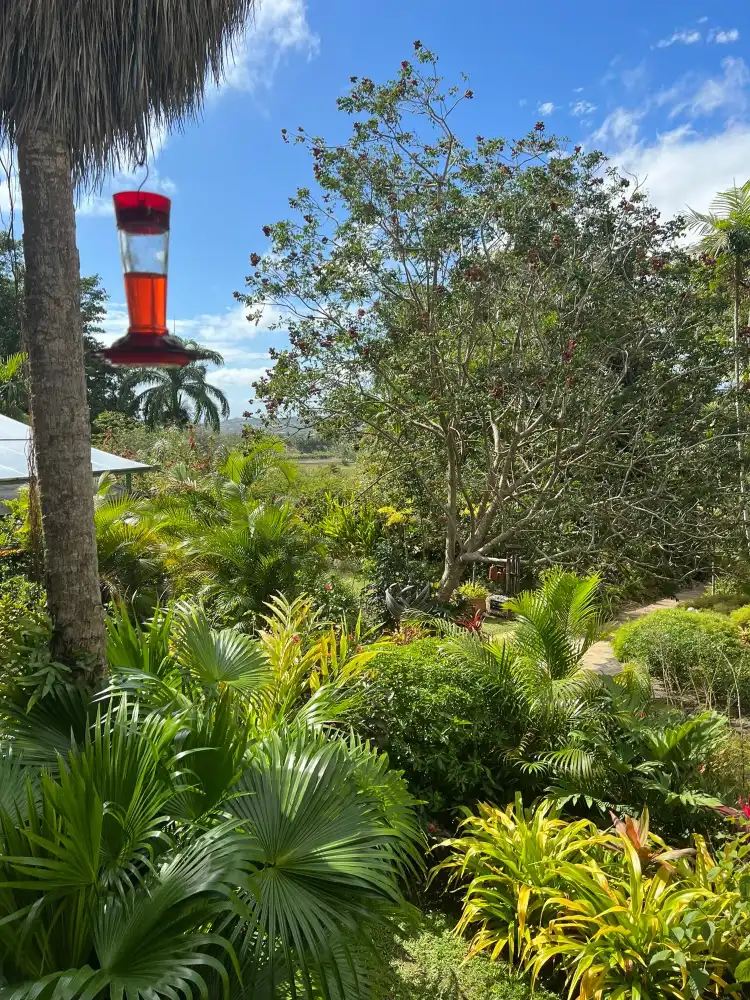 Hotels near Orchid World & Tropical Flower Garden
