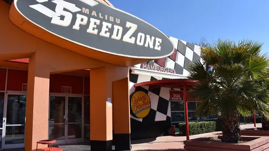 SpeedZone Dallas