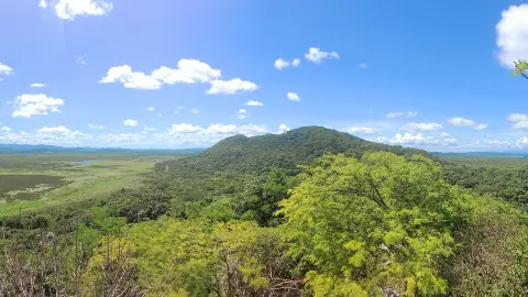 Ortega Travel Guide 2026: Top Attractions, Things to Do & Deals