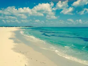 Plage el Mansoura