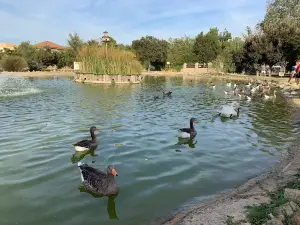 Parque Municipal Concejala Dolores Camino