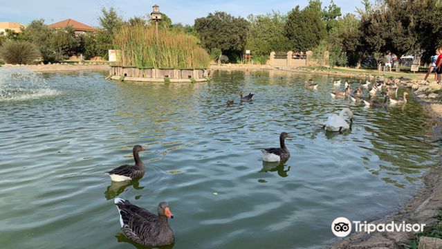 Parque Municipal Concejala Dolores Camino
