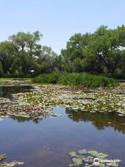 Shady Lakes Trout Fishing