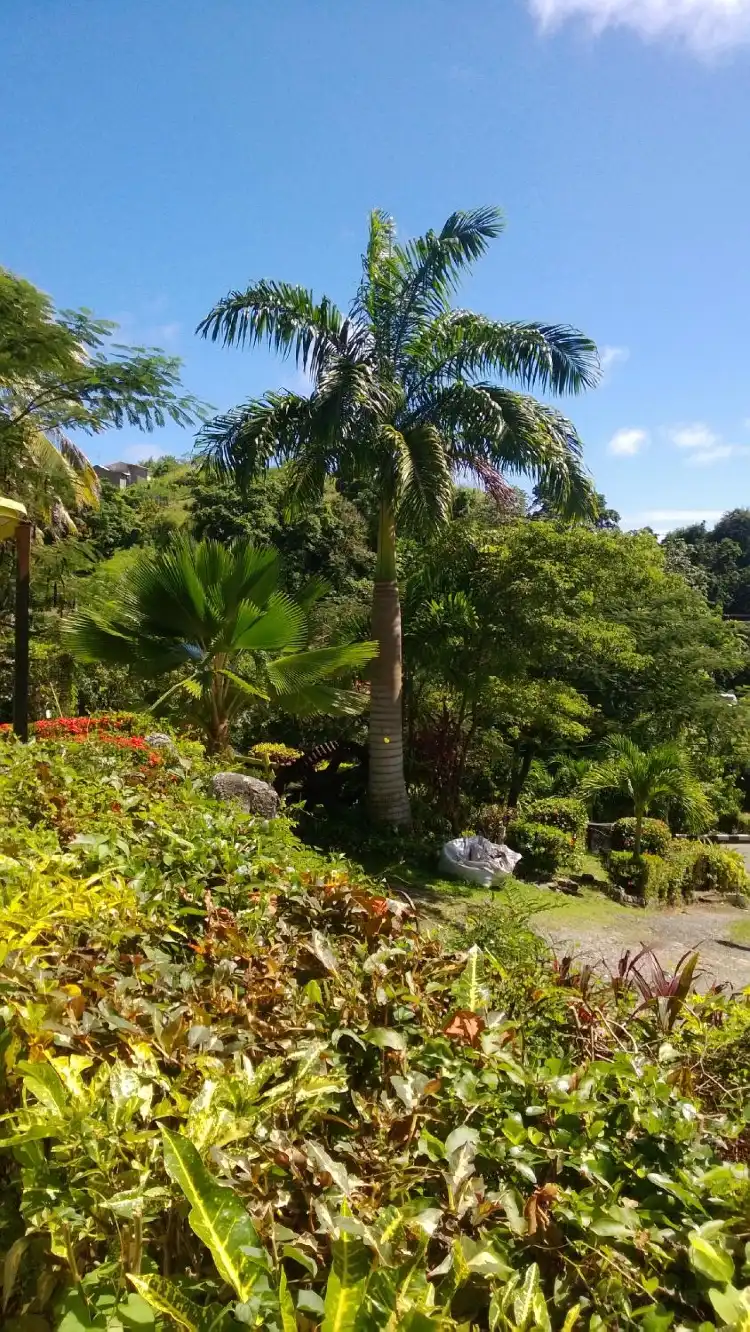 Hotels in Delaford