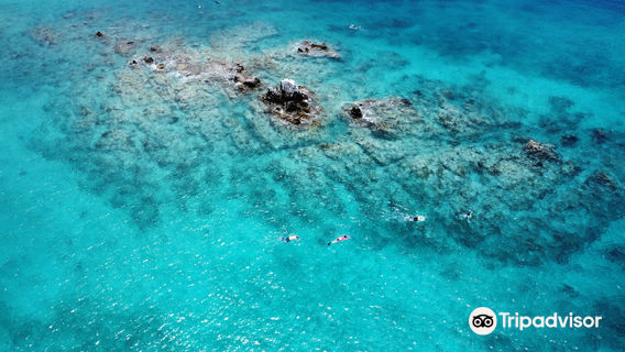 Nate's Custom Charters