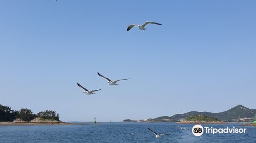 Seonyudo Beach