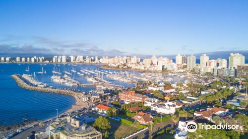 Puerto de Punta del Este