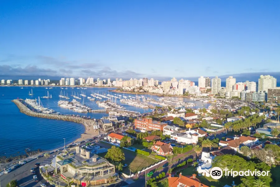 Puerto de Punta del Este