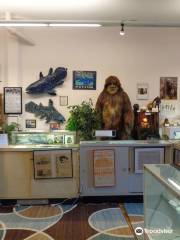 International Cryptozoology Museum