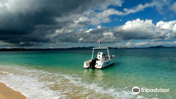 Blue Vision Dive Center