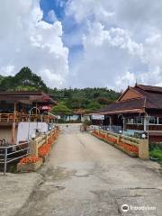 Winter Flower Garden in Betong