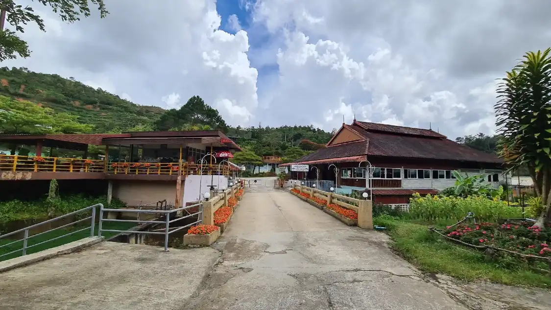 Hotels near Winter Flower Garden