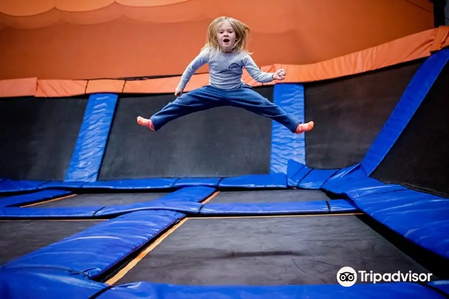 Sky Zone Trampoline Park