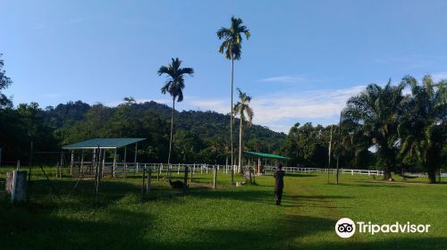 Jelita Ostrich Farm