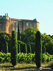 Université du Vin de Suze-la-Rousse