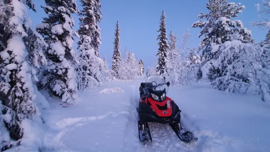 Arctic Dogsled Adventure AB