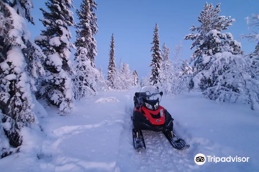 Arctic Dogsled Adventure AB