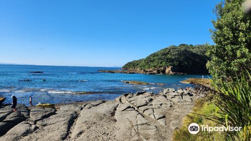 Te Hāwere-a-Maki / Goat Island