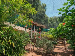 Bioparco