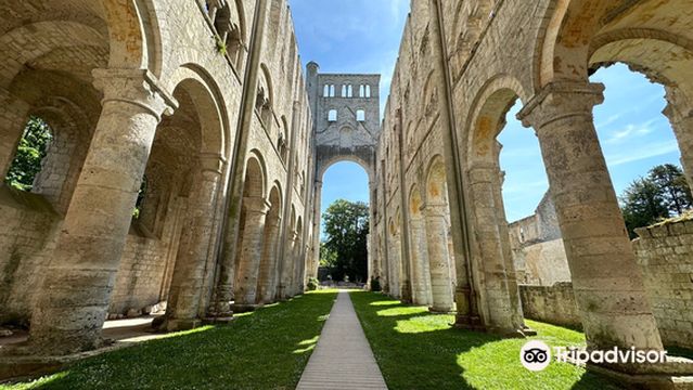 Abbaye de Jumieges