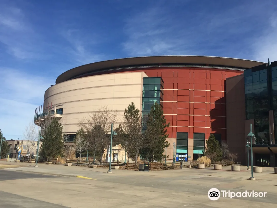 2_Ball Arena