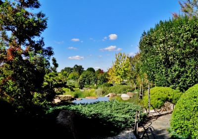 Shoyoen Japanese Garden