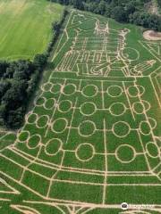 York Maze